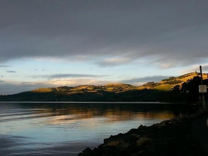 Others 3, Otago Peninsula Paradise, Dunedin