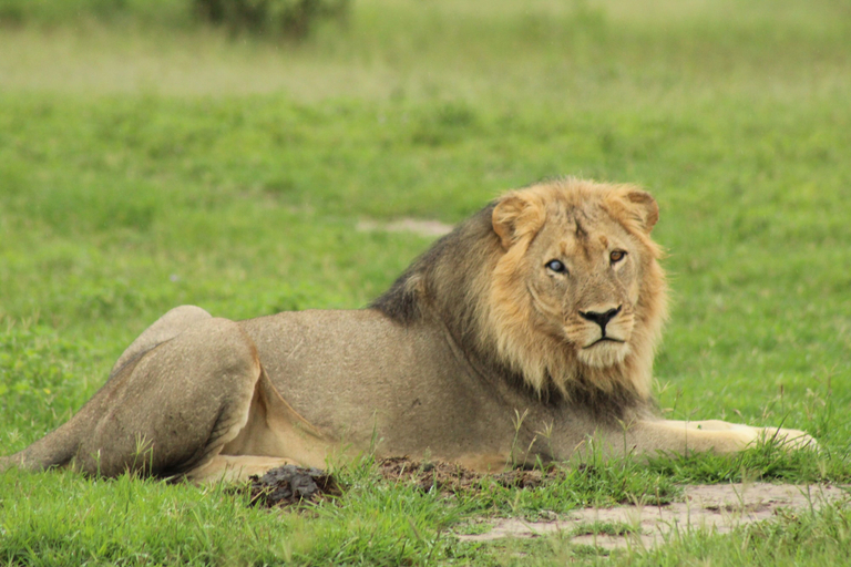 Others, ZIMPARKS BOOKINGS, City of Tshwane
