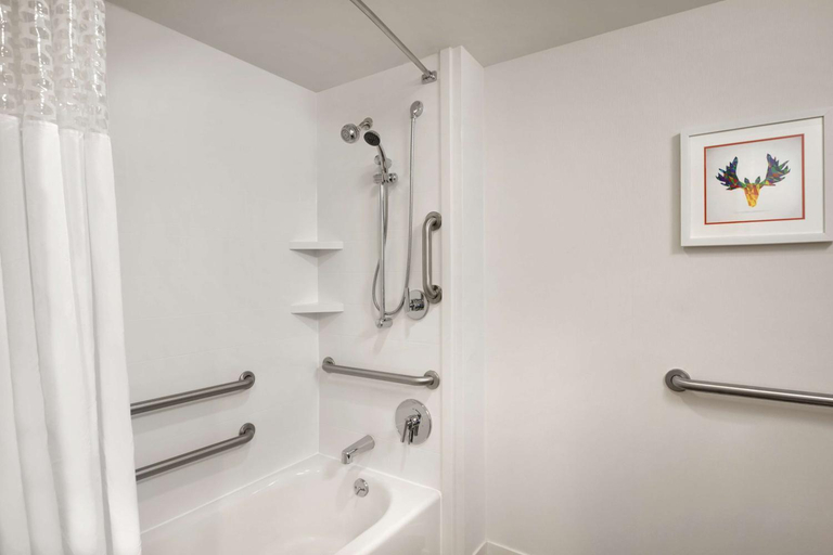Bathroom 4, Hampton Inn Atlanta-Buckhead, Atlanta