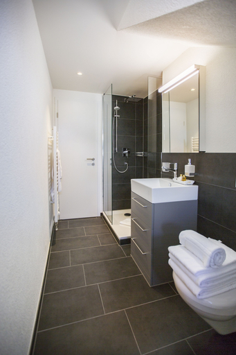 Bathroom 5, Nest - Klingelbergstrasse, Basel