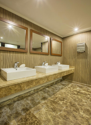 Bathroom 4, Dedeman Erbil Hotel City Center, Arbil