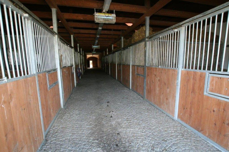 Others 4, Stajnia Lipowo 45, Mrągowo
