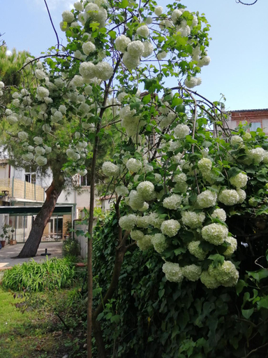 Others 2, Chambre d'hotes PMR Hildegarde, Tarn-et-Garonne