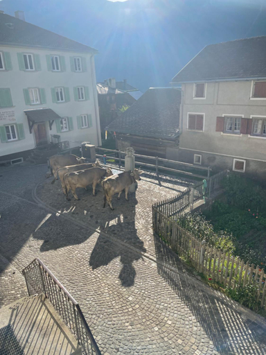 Others 3, Gasthaus Beverin, Hinterrhein