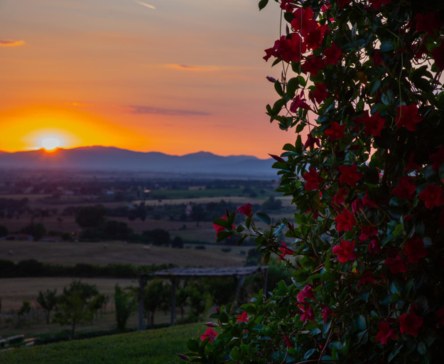 Others 5, Podere n.8 Bio Casale Maremma, Grosseto