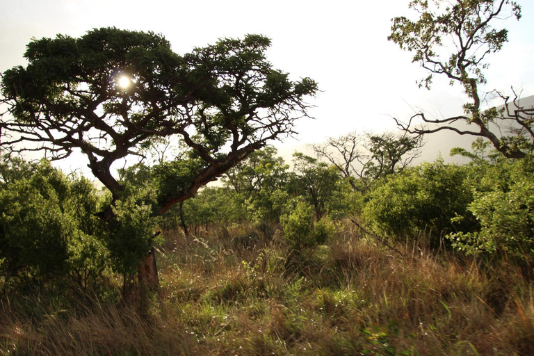 Others 4, Sofala Lodge and Spa, Waterberg