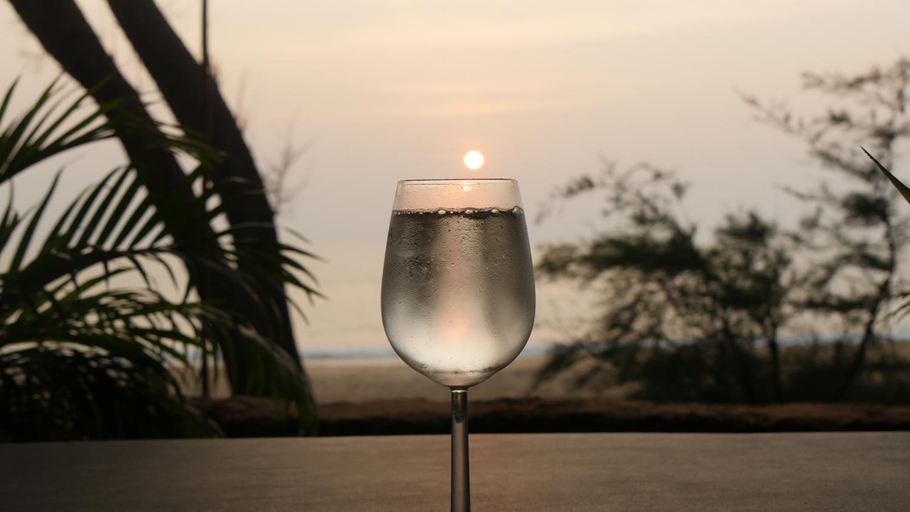 Food & Drinks 5, PEACE GARDEN BEACH RESORT, South Goa