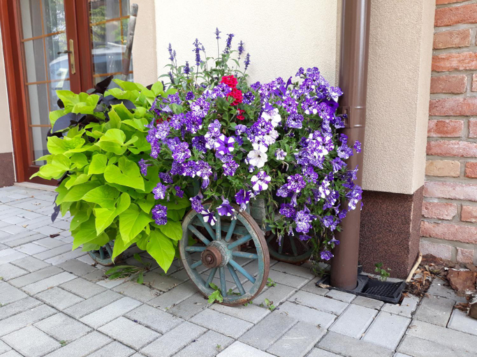 Others 5, Dvoupokojovy apartman s kuchynskym koutem, Kutná Hora
