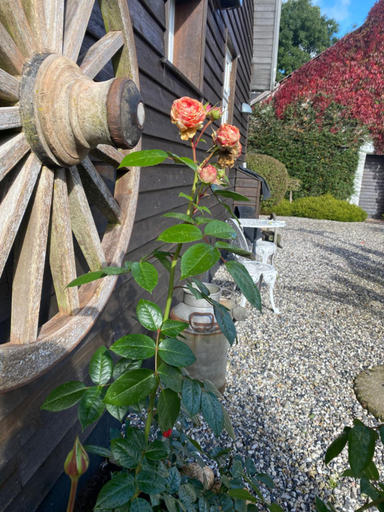 Others 4, Guldforhoved B&B, Ikast-Brande