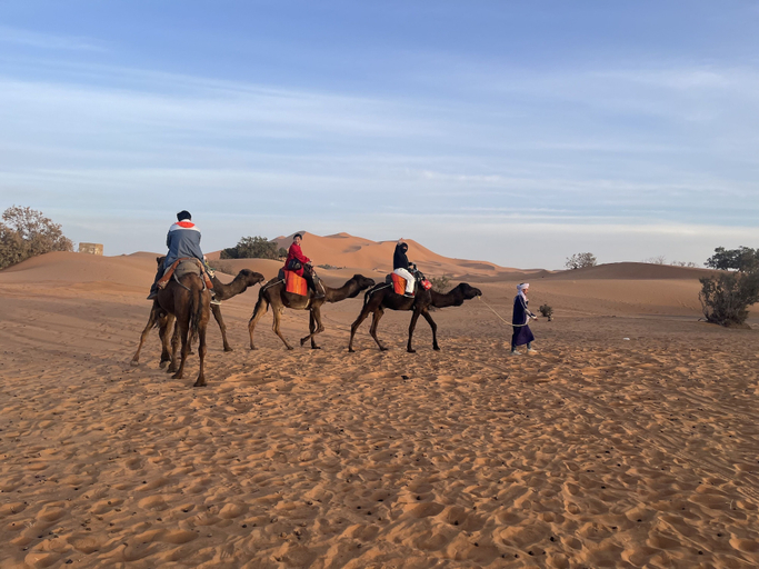 Others 5, Desert Sparrow Luxury Camp, Errachidia