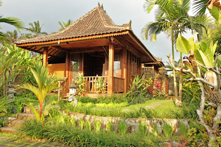 Exterior & Views 2, Belvilla Moksha Ceking Rice TerraceNearUbud Jungle Swing, Gianyar