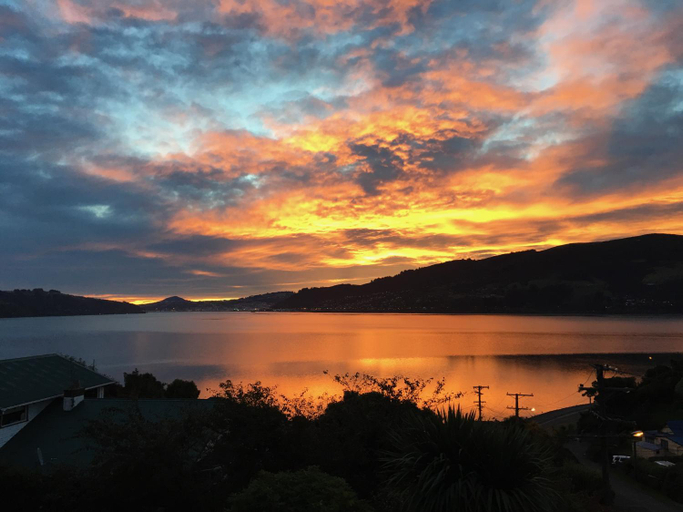 Others 2, Otago Peninsula Paradise, Dunedin