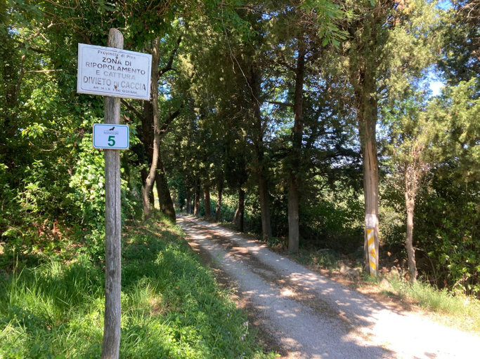 Others 5, Le Giuncaie - Vigna con alloggio, Pisa