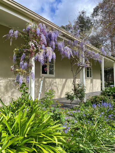 Others 5, Fleetwood Cottage Bed and Breakfast, Adelaide