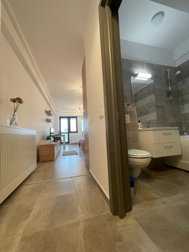 Bathroom 2, Studio Near Palas Mall, Iasi