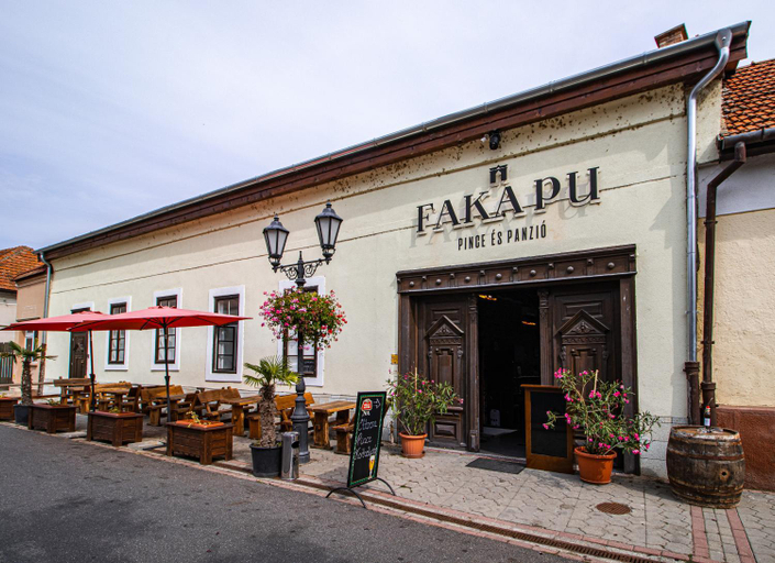 Exterior view 3, Fakapu Pince es Panzio, Tokaji