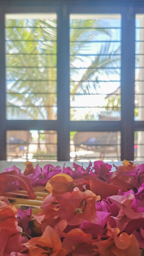 Food & Drinks 5, Villa Malaika Zanzibar, Kusini