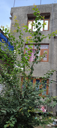 Exterior & Views 1, Queen Palace guest house, Srinagar