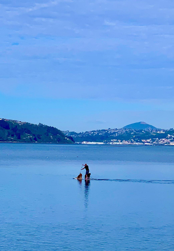 Others 4, Otago Peninsula Paradise, Dunedin
