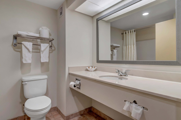 Bathroom 3, Hutchinson Island Hotel, Saint Lucie