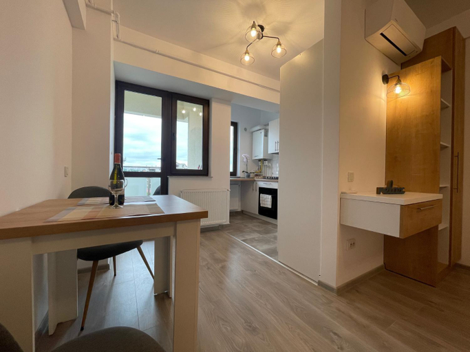 Others 5, Studio Near Palas Mall, Iasi