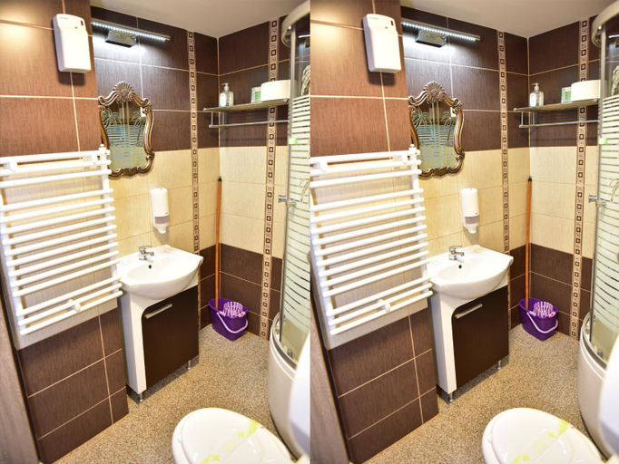 Bathroom 2, Pensiunea Dely_Cios, Valenii De Munte
