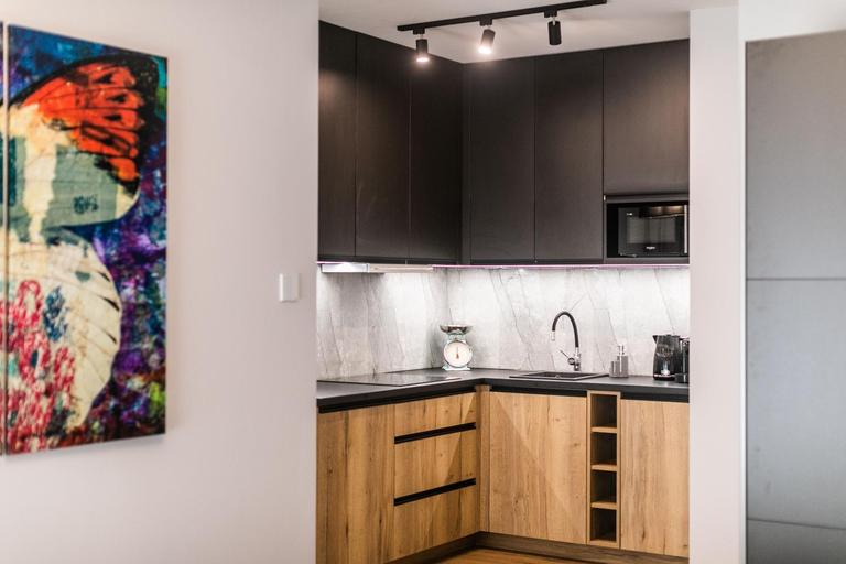 Kitchen 3, Papillon Apartamenty Gdansk, Gdańsk City