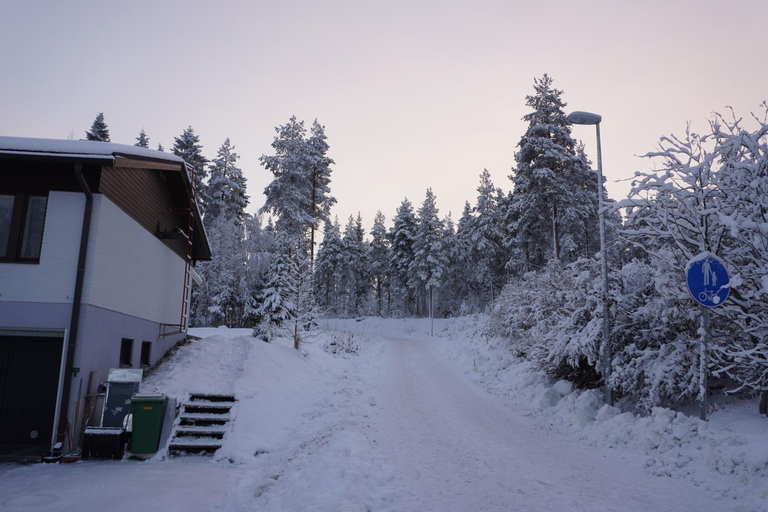 Others 4, Your home away from home!, Lapland