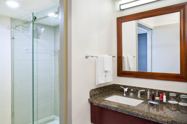 Bathroom 4, Marriott Park Ridge, Bergen