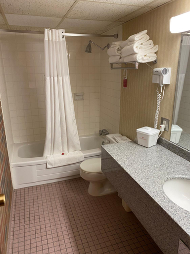 Bathroom 4, Ramada by Wyndham Lethbridge, Division No. 2