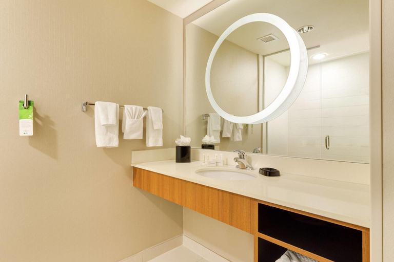 Bathroom 4, Springhill Suites Mcallen Convention Center, Hidalgo