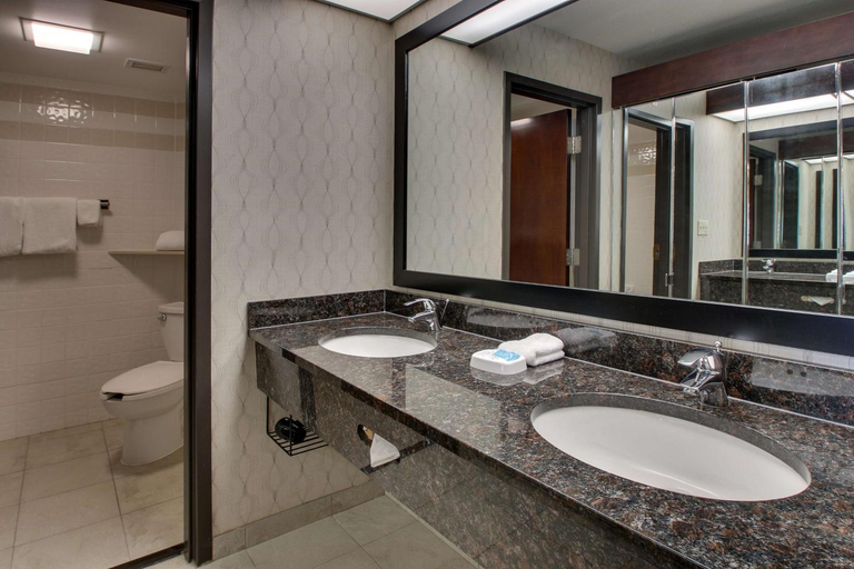 Bathroom 4, Drury Inn & Suites Houston Galleria, Houston