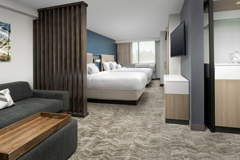 Bedroom 4, Springhill Suites By Marriott Atlanta Perimeter Ce, Fulton
