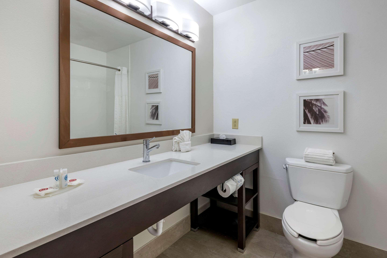 Bathroom, Spark By Hilton St. Augustine I 95, Saint Johns