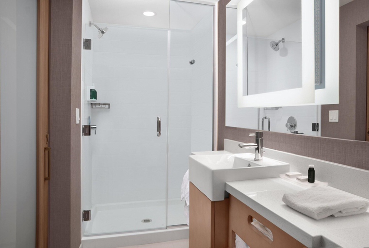 Bathroom 4, Springhill Suites By Marriott Orlando Theme Parks/, Orange