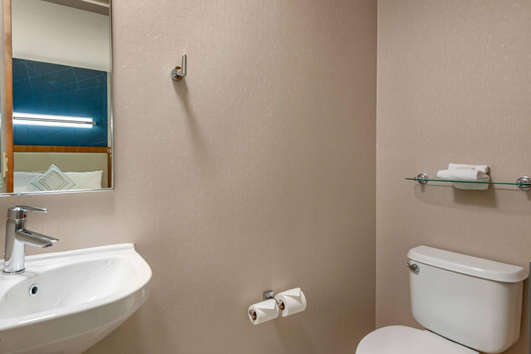 Bathroom 5, SpringHill Suites Vero Beach, Indian River