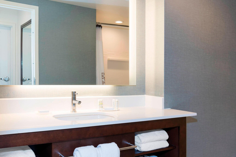 Bathroom 5, Residence Inn Green Bay Downtown, Brown