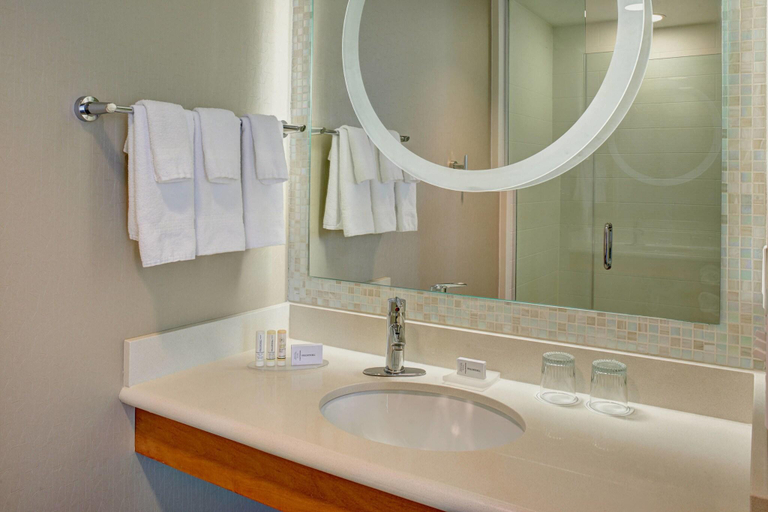 Bathroom 5, Springhill Suites Saginaw, Saginaw
