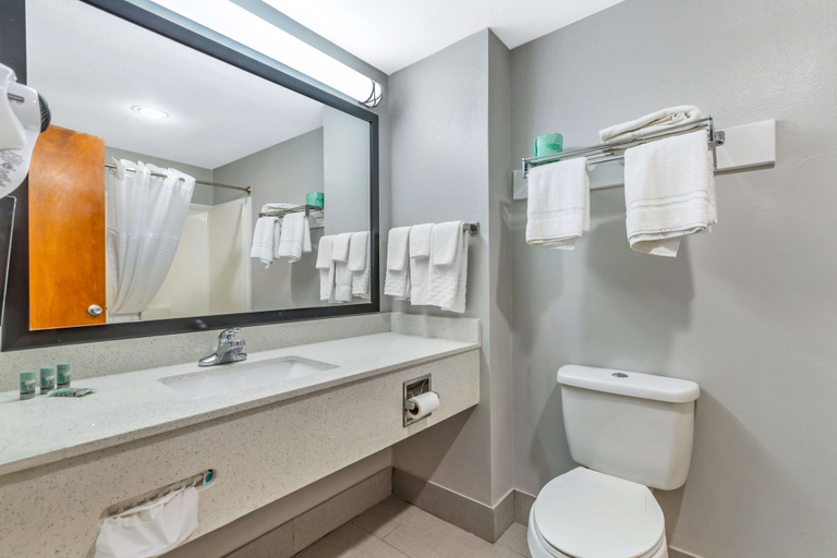 Bathroom 5, Best Western Port Lavaca Inn, Calhoun
