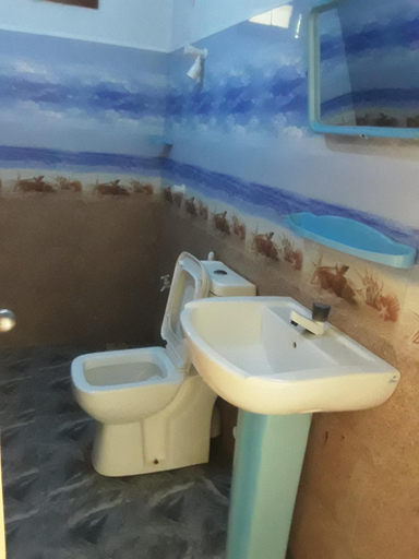 Bathroom, LLT budget room WILPATTU, Nochchiyagama