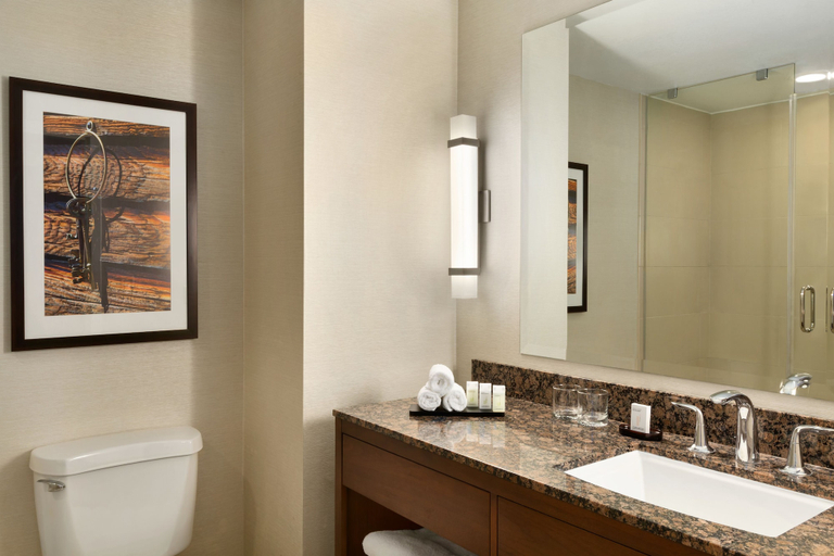 Bathroom 4, Embassy Suites by Hilton Dallas DFW Airport North, Tarrant