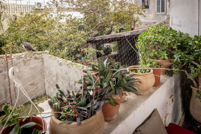 Others 4, Old Jaffa Artistic Retreat by Sea N Rent