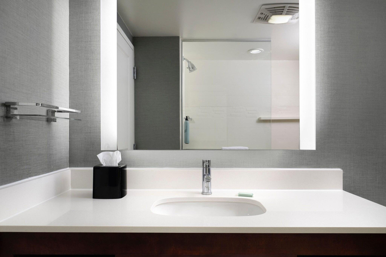 Bathroom 5, Residence Inn Green Bay Downtown, Brown