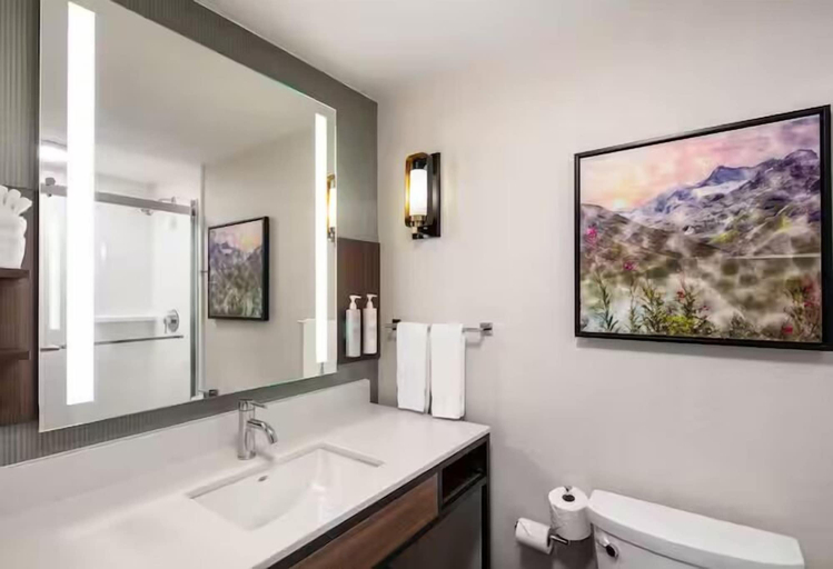 Bathroom 5, Hilton Garden Inn Kalispell, Flathead