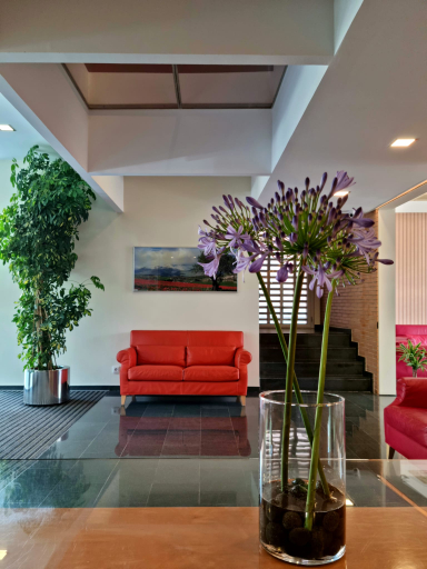Public Area 4, Apartaments Els Quimics, Girona