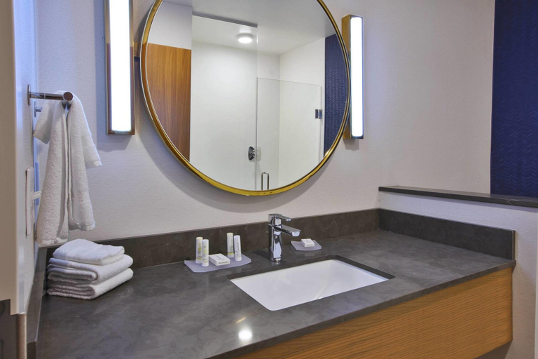 Bathroom 4, Fairfield Inn & Suites Flint Grand Blanc, Genesee