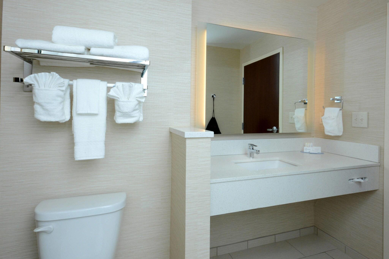 Bathroom 4, Fairfield Inn & Suites by Marriott Raleigh Capital, Wake