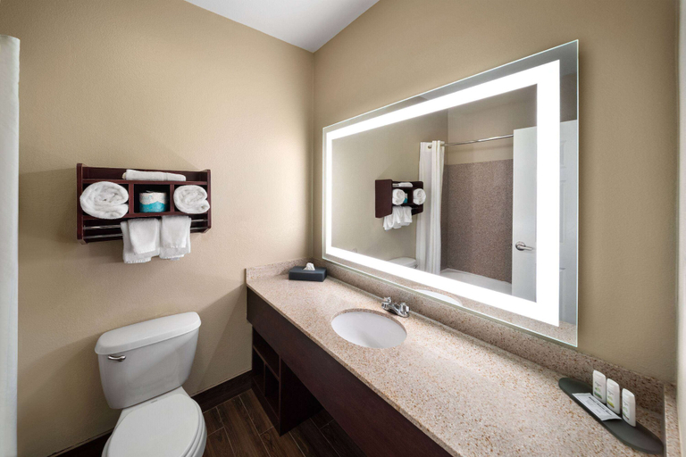 Bathroom 5, La Quinta Inn & Suites by Wyndham Houma, Terrebonne