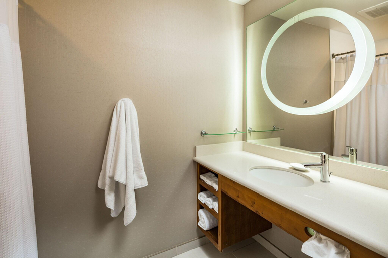 Bathroom 5, SpringHill Suites Vero Beach, Indian River