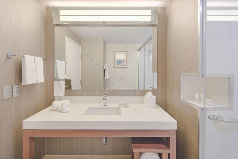 Bathroom 5, Courtyard by Marriott Saltillo, Saltillo